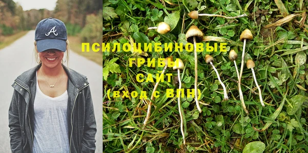 герыч Дмитриев