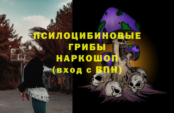 герыч Дмитриев